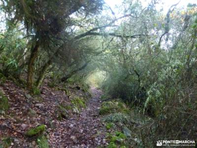 Comarca La Siberia; nacedero de urederra rutas por la sierra de madrid monasterio piedra